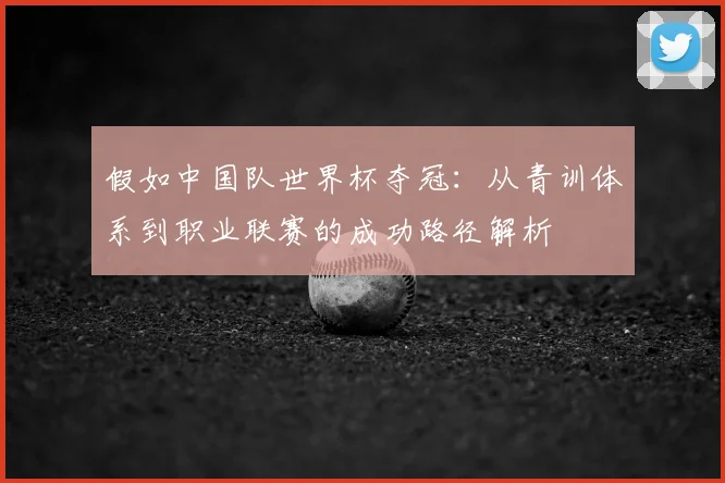 假如中国队世界杯夺冠：从青训体系到职业联赛的成功路径解析