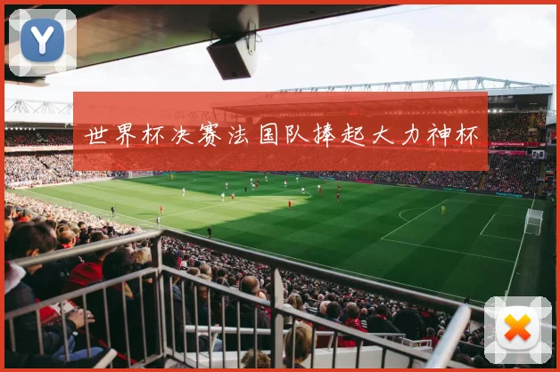 世界杯决赛法国队捧起大力神杯