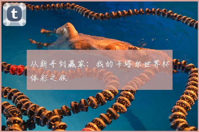 从新手到赢家：我的卡塔尔世界杯体彩之旅