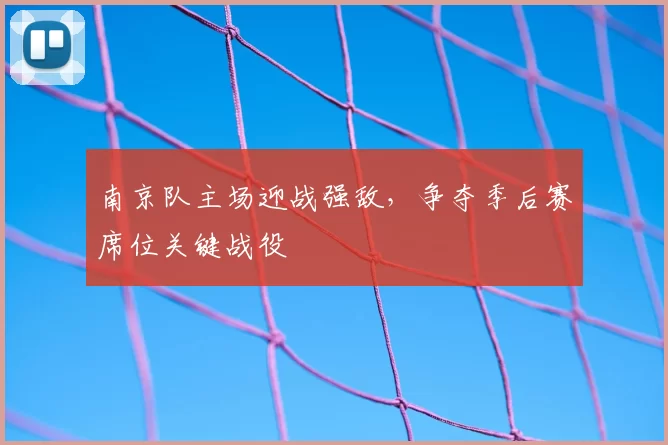 南京队主场迎战强敌,争夺季后赛席位关键战役