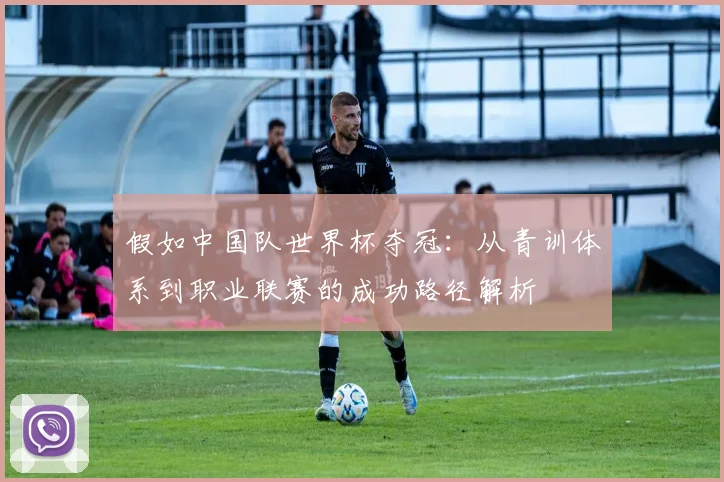 假如中国队世界杯夺冠：从青训体系到职业联赛的成功路径解析