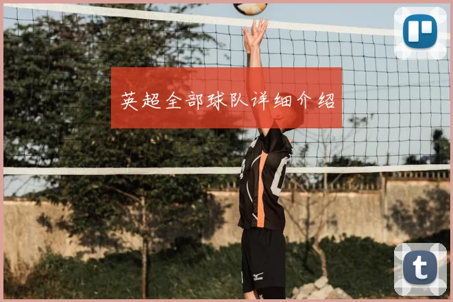 英超全部球队详细介绍