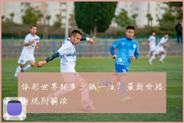 体彩世界杯多少钱一注？最新价格与规则解读