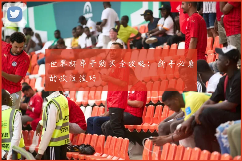 世界杯串子购买全攻略：新手必看的投注技巧