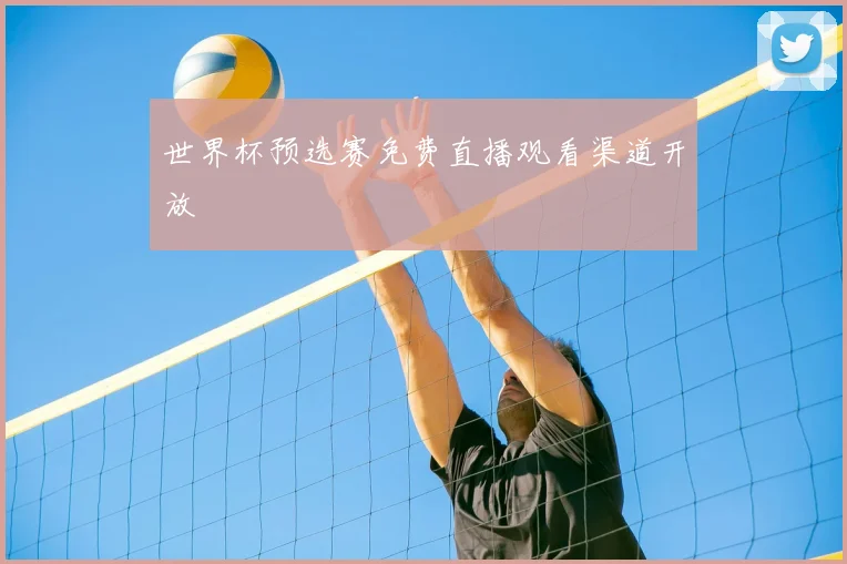 世界杯预选赛免费直播观看渠道开放