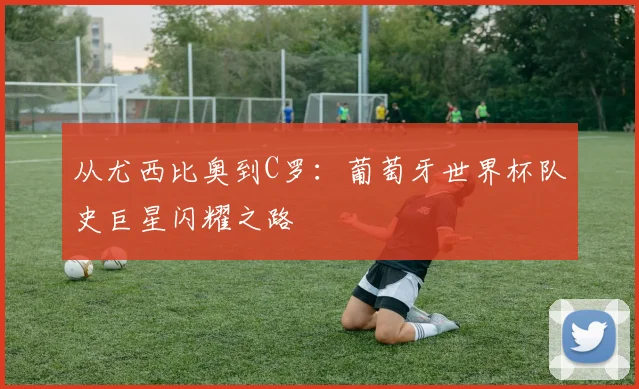 从尤西比奥到C罗：葡萄牙世界杯队史巨星闪耀之路