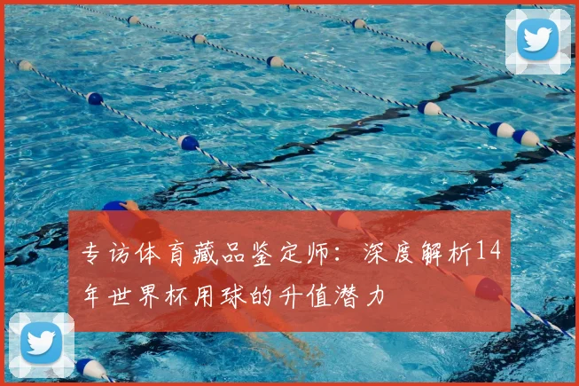专访体育藏品鉴定师：深度解析14年世界杯用球的升值潜力