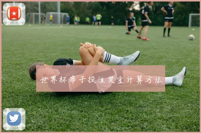 世界杯串子投注奖金计算方法
