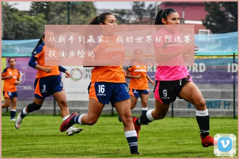 从新手到赢家：我的世界杯预选赛投注历险记