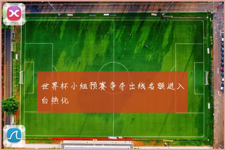 世界杯小组预赛争夺出线名额进入白热化