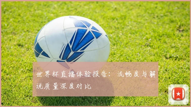 世界杯直播体验报告：流畅度与解说质量深度对比