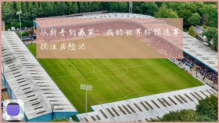 从新手到赢家：我的世界杯预选赛投注历险记