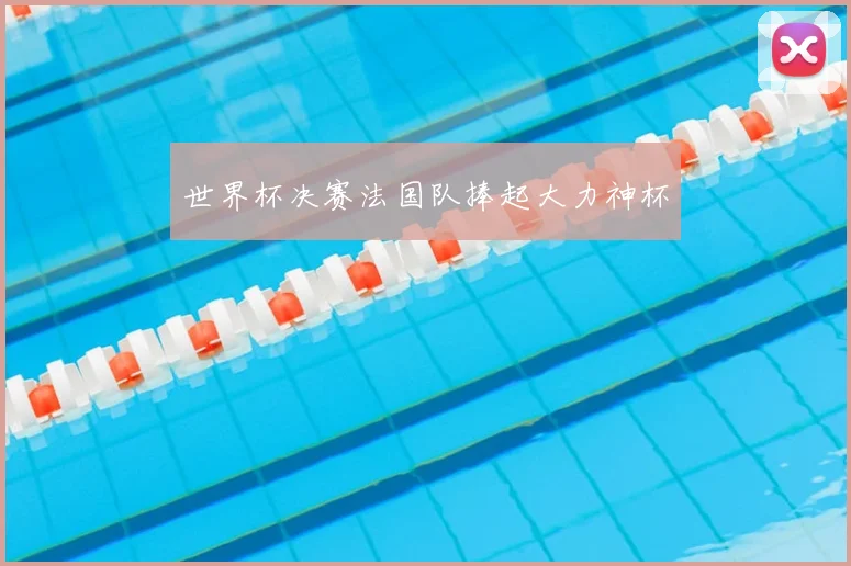 世界杯决赛法国队捧起大力神杯