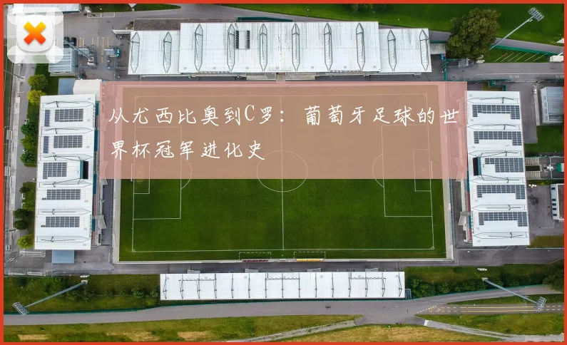 从尤西比奥到C罗：葡萄牙足球的世界杯冠军进化史