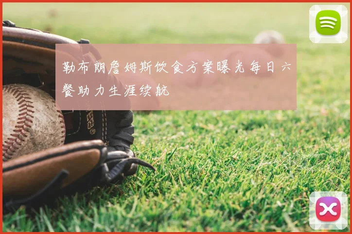 勒布朗詹姆斯饮食方案曝光每日六餐助力生涯续航