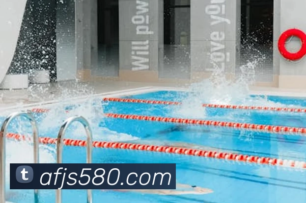 球盟会发展历程